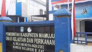 Kasus Oknum ASN Di DKP Mamuju Tipu Warga Senilai 400 juta Polisi Usut Unsur Pidana.