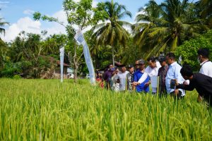 Enam Kabupaten Bakal Terima Combine Harvester, Akmal: di Mamuju Akan Ditempatkan di Desa Bonde