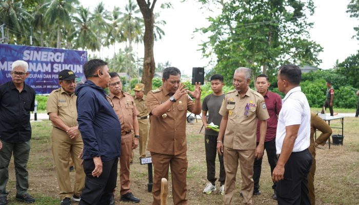 Komoditas Sukun Dan Pisang Membuka Peluang Baru Bagi Petani Sulbar