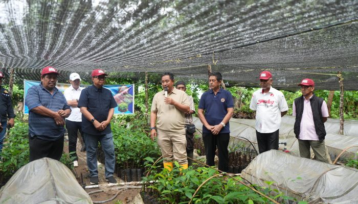 Hari Kedua OPD Pemprov Sulbar Melihat Langsung Sentra Pembibitan Sukun di Bone