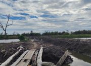 Siapkan Lahan 1.000 Hektare, Kadis DKP Sulbar: Kita Usulkan ke Investor Sektor Kelautan