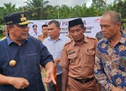 Menanam Pisang Cavendish Makin Diminati Warga Sulbar, Pj Bahtiar Hadiri Tanam Pisang di Pasangkayu