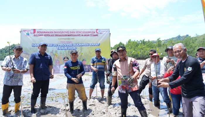 PJ. Gubernur Sulbar Bersama Forkopimda Kompak Galakkan Penanaman Mangrov