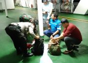 Penumpang KM. Laskar Pelangi Perjalanan Dari Kariango Balikpapan Ke Mamuju Melompat Dan Jatuh Kelaut