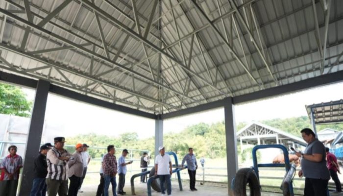 Pemprov – DPRD Sulbar Sepaham membentuk Dinas Peternakan Pemprov Sulbar