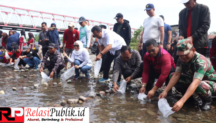 Melibatkan Pelajar, Pj Bahtiar dan Bupati Mamuju Tebar Benih Ikan Nila di Sungai Kalukku