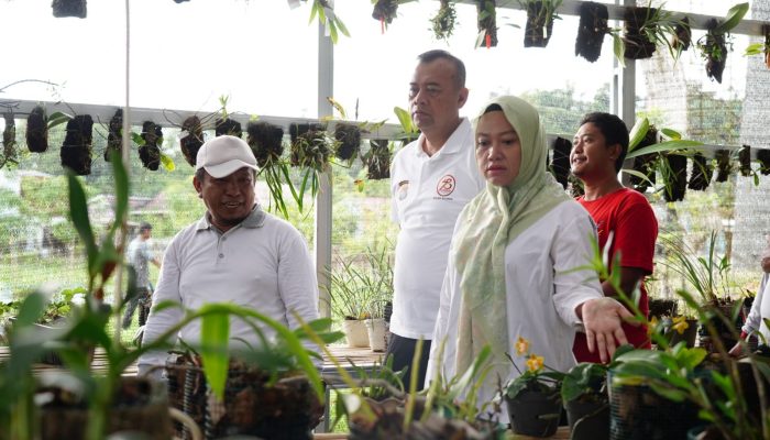 Kapolda Sulbar Dukung Penuh Pengembangan Budidaya Anggrek dan Hortikultura
