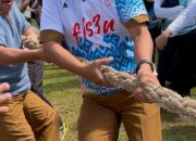 Disdikbud Sulbar Meriahkan HUT RI ke-80 dengan Lomba Antarinstansi Penuh Semangat