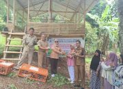 Distapang Sulbar Salurkan Bantuan Ayam KUB dan Sarana Pendukung di Kelurahan Bebanga