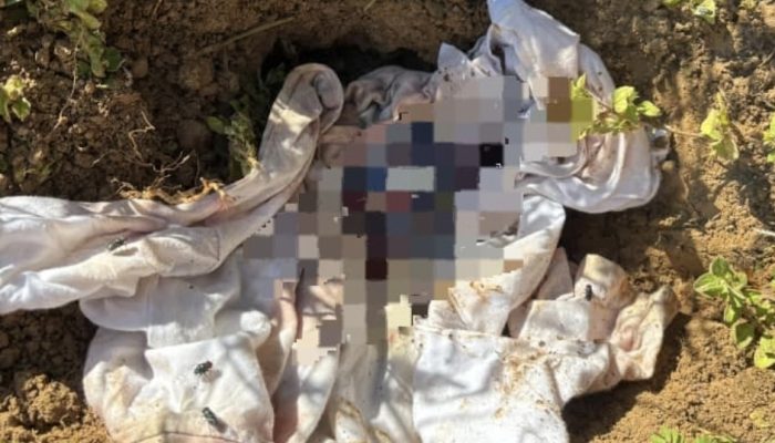 BREAKING NEWS: Penemuan Ari-Ari Bayi Gegerkan Warga BTN Bumi Salupangi Mamuju