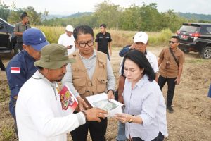 Garap 35 Hektar Lahan, Sulbar Kembangkan Benih Induk Hortikultura di Luyo
