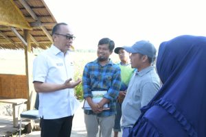 Pj Gubernur Sulbar, Prof Zudan Dorong Balai Benih Menjadi Pusat Inovasi Pertanian Sulbar