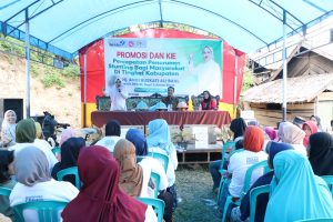 Anggota Komisi IX DPR RI, Andi Ruskati Ali Baal Mengajak Masyarakat Sulbar Terlibat Dalam Penanganan Stunting