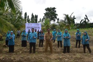 TP-PKK Sulbar Ikuti Gerakan Tanam Cabai Serentak Secara Virtual