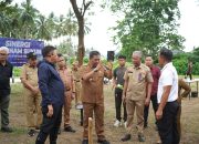 Komoditas Sukun Dan Pisang Membuka Peluang Baru Bagi Petani Sulbar
