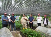 Hari Kedua OPD Pemprov Sulbar Melihat Langsung Sentra Pembibitan Sukun di Bone