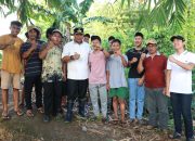 Program Gerakan  Menanam Pohon Forkopimda Sulbar  Menyasar Sampai Kepulauan 