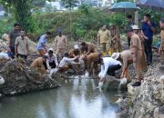 Pj Bahtiar Dorong Sulbar Menjadi Pusat Komoditi Ikan Nila