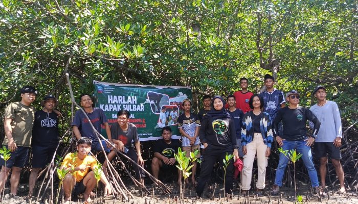 Milad XVI, KPA KAPAK Sulbar Tanam 2000 Pohon Mangrove