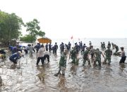 Pj.Gubernur Sulbar Bersama Forkopimda Dan Masyarakat Tanam 20 Ribu Mangrove Untuk Atasi Pemanasan Global