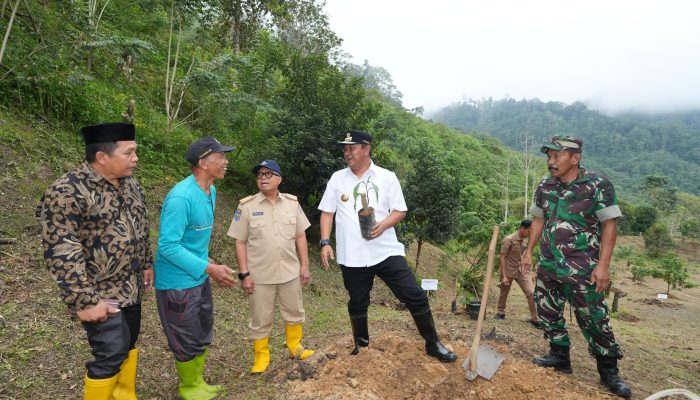 Pj Bahtiar Baharuddin Bocorkan Akan Anggarkan 1 Juta Bibit Durian Untuk Dibagikan ke Warga Sulbar