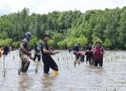 Rayakan HUT Sulbar Ke-20, PJ.Gubernur Sulbar Bersama OPD Dan Masyarakat Tanam Mangrove
