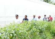 Temui Petani Sampaga, Pj Bahtiar Dorong Sulbar Miliki Brand Sendiri atas Produk Perkebunan