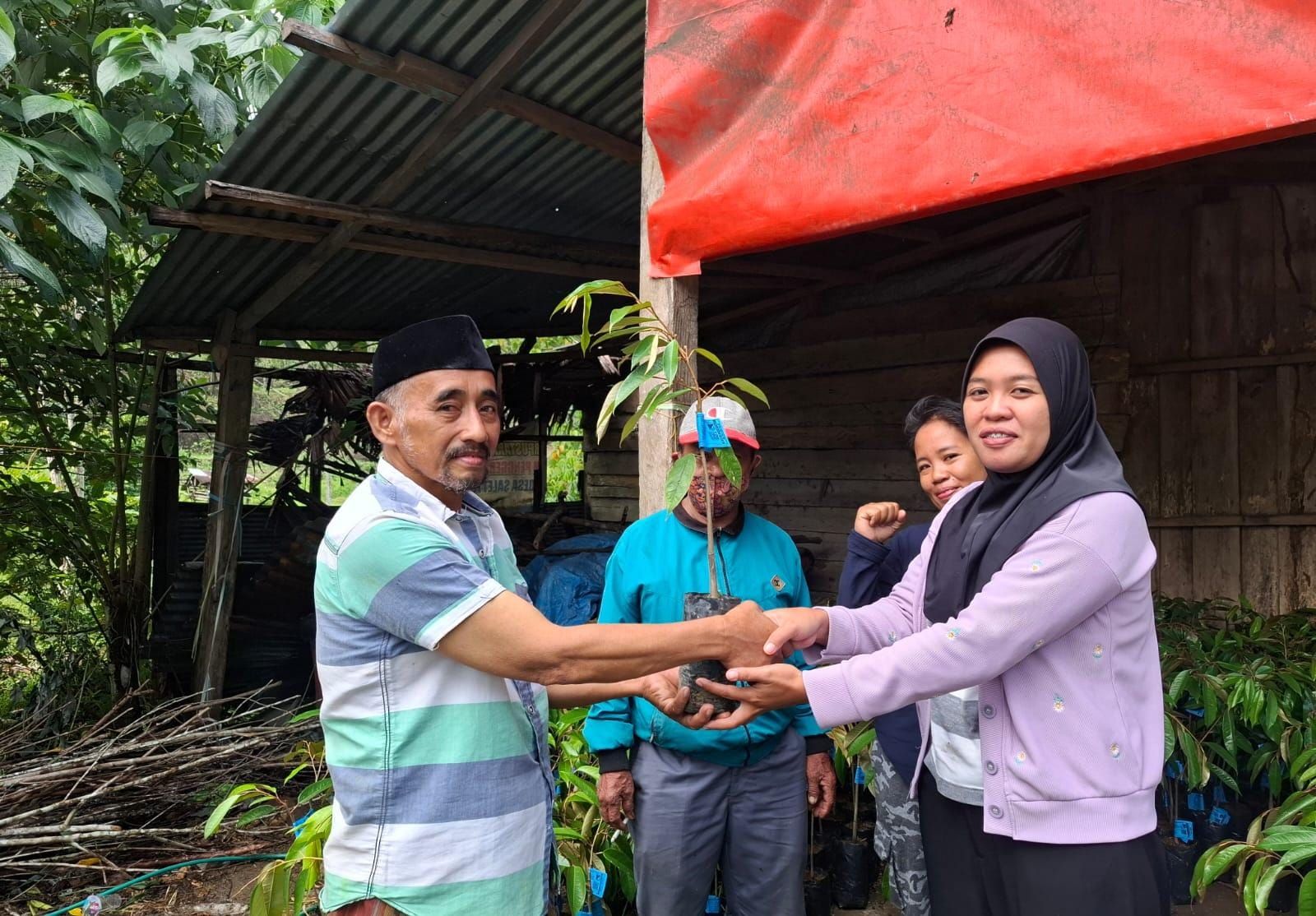 Pj. Kepala Desa Ptidi Telah menyerahkan Bibit Durian Jenis Otong Kepada Petani