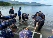 Polairud Polda Sulbar Gelar Aksi Peduli Laut, Meriahkan HUT ke-74 dengan Transplantasi Terumbu Karang