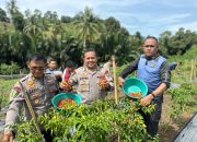 Kebun Ketahanan Pangan Biddokkes Polda Sulbar: Menumbuhkan Ekonomi dan Kesejahteraan Masyarakat