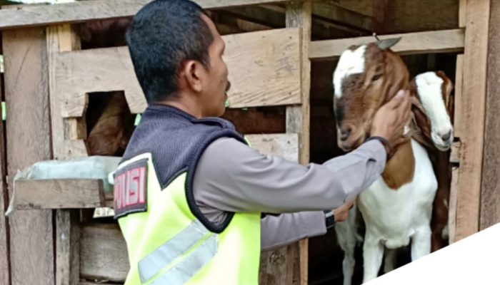 Kisah Inspiratif IPDA Ismail, Jual Kambing untuk Bantu Warga