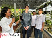 Pemprov Sulbar dampingi Konsul Australia dan Mahasiswa Saat Mengunjungi Estalase Anggrek