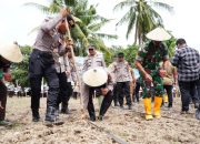 Aksi Nyata Ketahanan Pangan: Kapolda Sulbar dan Forkopimda Tanam Jagung di Kalukku