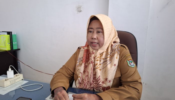 DP3PD Kabupaten Mamuju Apresiasi DP3AP2KB Sulbar Dengan Melaksanakan Program Renstra