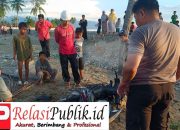 Ibu Rumah Tangga di Kalukku Digerebek Warga Saat Diduga Berselingkuh dengan Pria Tak Dikenal