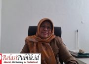 Honorer SD Negeri Salu Biru Tak Masuk Dapodik Meski 6 Tahun Mengabdi, Kadis Pendidikan Mamuju Akan Panggil Kepala Sekolah