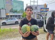 SPPG Yayasan Manakarra Membangun Generasi Bantu Petani Semangka Mamuju dan Tingkatkan Gizi Anak