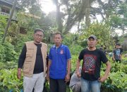 Dinas Perkebunan Mamuju Salurkan 2.900 Bibit kakao ke Masyarakat Desa Patidi