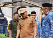 Gubernur Sulbar Tinjau Pembibitan Komoditas Pangan Dinas Ketapang, Siap Dibagikan ke Masyarakat