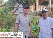Pemprov Sulbar Salurkan 2.900 Bibit Kakao untuk Petani Desa Patidi
