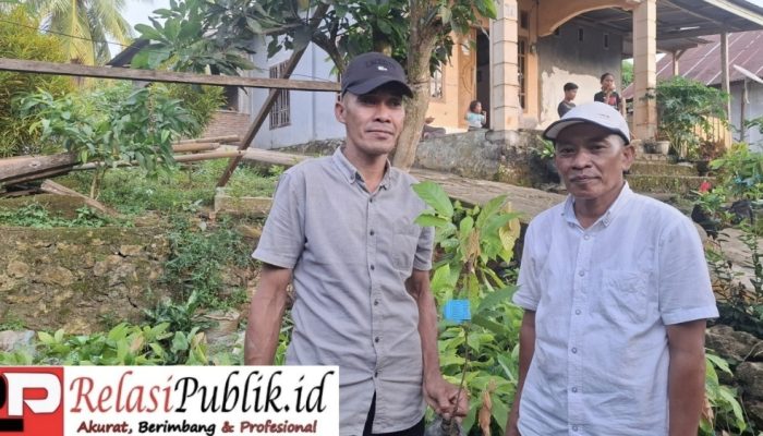 Pemprov Sulbar Salurkan 2.900 Bibit Kakao untuk Petani Desa Patidi