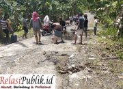 Tidak Ada Perhatian Dari Pemerintah, Warga Pamombong dan Simbuang II Patungan Perbaiki Jalan Berlubang
