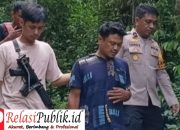 Sempat Kabur 5 Hari, Pelaku Rudapaksa Anak di Bawah Umur Berhasil Diamankan Polisi 