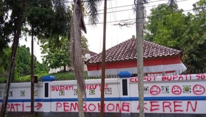 Janji PPPK Paruh Waktu Belum Terwujud, Honorer Nakes dan Guru Demo Bupati Mamuju
