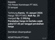 Harga TBS Sawit Sulbar Ditetapkan Rp3.092,15/Kg, PT MUL Masih di Angka Rp2.590