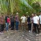 Pendampingan Teknis PSU Air Bersih di Majene, Disperkimtanhub Sulbar Tinjau Lima Titik Lokasi