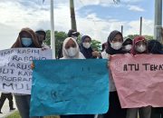 Ratusan Relawan MBG di Mamuju Gelar Aksi Damai, Minta Program Makanan Bergizi Gratis Tetap Berlanjut