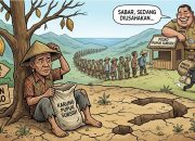 Petani Kakao Desa Salletto Menjerit, Pupuk Subsidi Tak Kunjung Datang