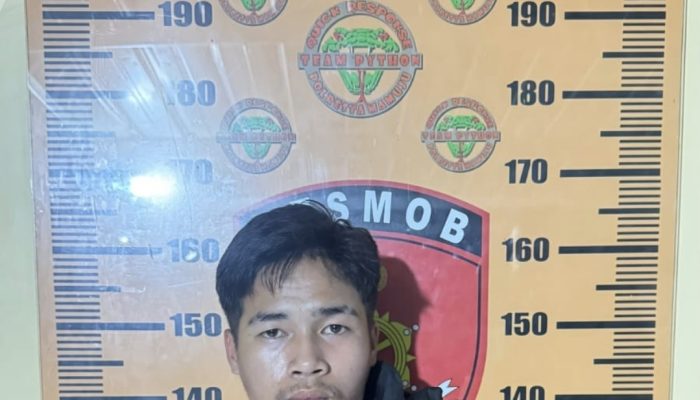 Terungkap Lewat CCTV! Resmob Polresta Mamuju Ringkus Terduga Pencuri Uang dan HP di RS Regional